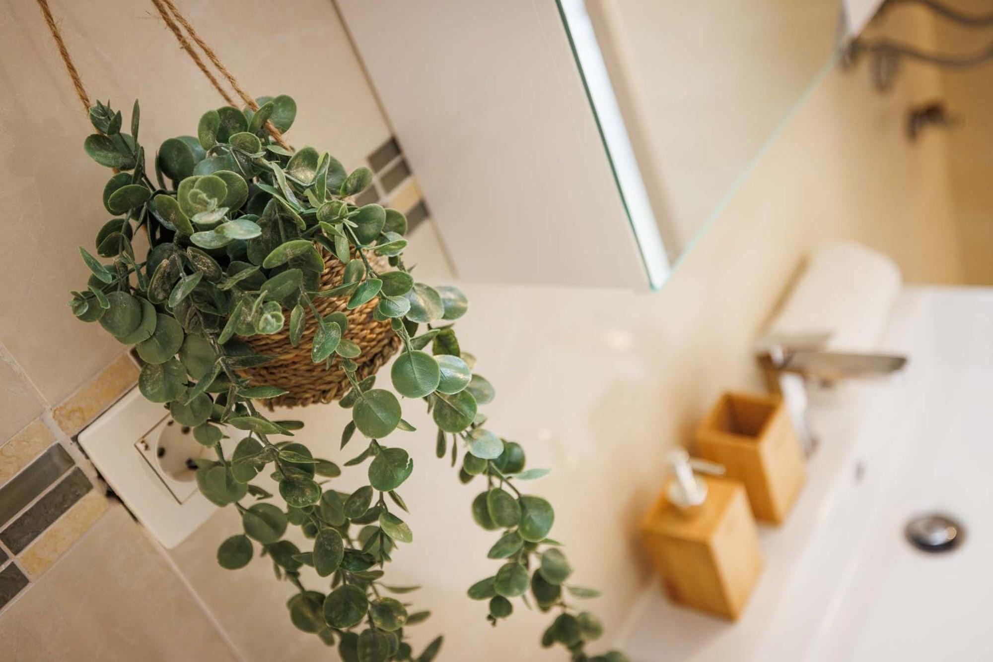 Apartment Katalin Kornić Dış mekan fotoğraf